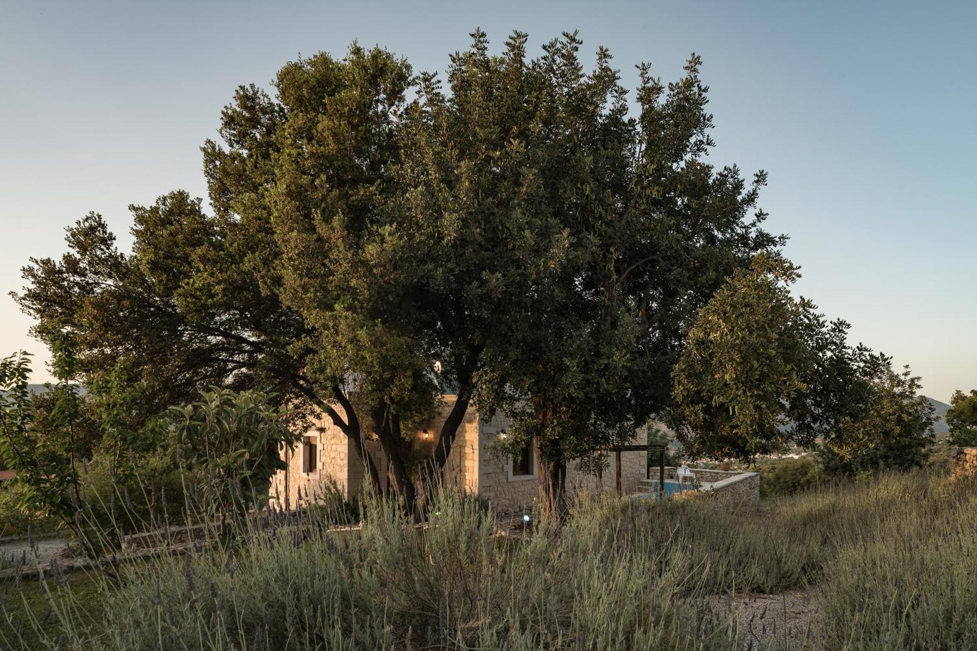 Koules Estate, With Private Pools & Bbq - Embracing Nature, By Thinkvilla Argouli Værelse billede